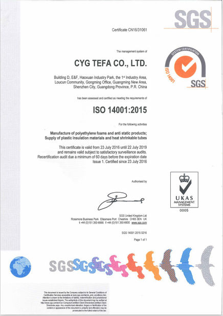 Κίνα Cyg Tefa Co., Ltd. Πιστοποιήσεις